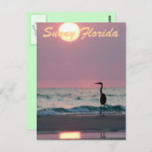 サニーフロリダ ポストカード (正面/裏面)