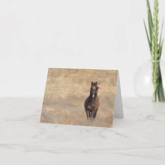 サニーブリーズ カード