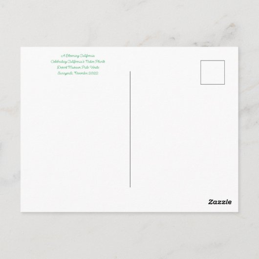 サニーベイルからのブラッドネス:砂漠博物館パロヴェルデ ポストカード (裏面)