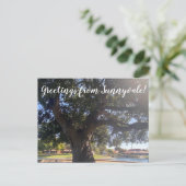 サニーベイルからの挨拶！ ポストカード (スタンド正面)