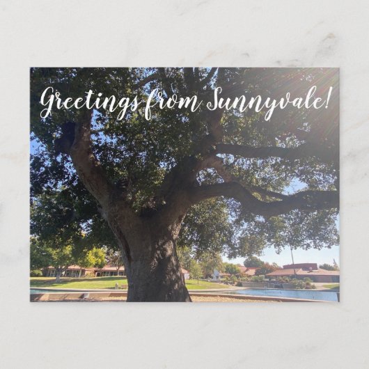 サニーベイルからの挨拶！ ポストカード (正面)