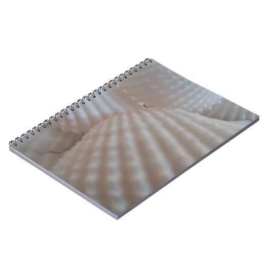 サニーホワイトシーシェル、シーシェルビーチ夏の愛 ノートブック (左側)