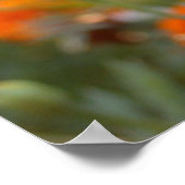 サニーマリゴールド ポスター (角)