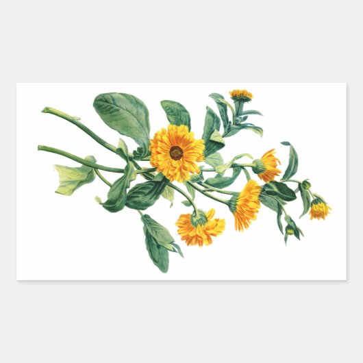 サニーマリゴ描ルズ自然 長方形シール (正面)