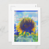 サニーラブ2024はがき シーズンポストカード (正面/裏面)