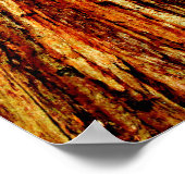 サニーレッドウッドの木のポスター(光沢) ポスター (角)