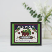 サニーローガンベリーフルーツ ポストカード (スタンド正面)