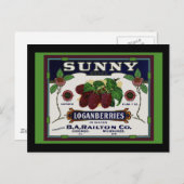サニーローガンベリーフルーツ ポストカード (正面/裏面)