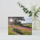 サニーワイルドフラワーズインザカントリーホリデーハガキ シーズンポストカード (スタンド正面)