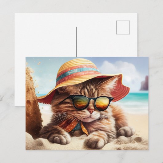 サニー子猫 ポストカード (正面/裏面)