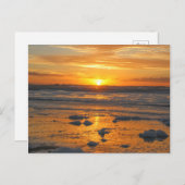 サニー日 ポストカード (正面/裏面)