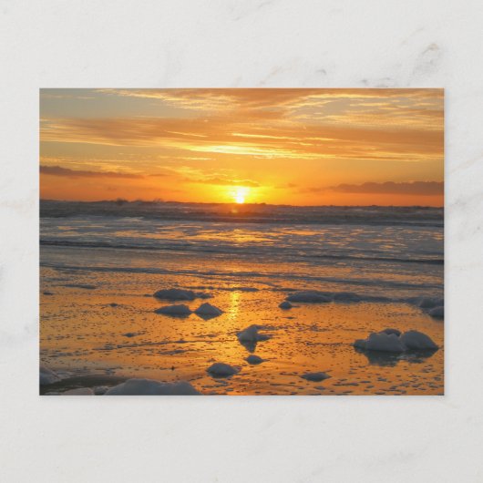 サニー日 ポストカード (正面)