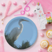 サニー素晴らしフロリダ州の緑 ペーパープレート (パーティー)