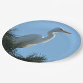 サニー素晴らしフロリダ州の緑 ペーパープレート (アングル)