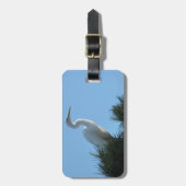 サニー素晴らしフロリダ州の緑 ラゲッジタグ (正面縦)