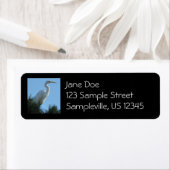 サニー素晴らしフロリダ州の緑 ラベル (インサイチュ)