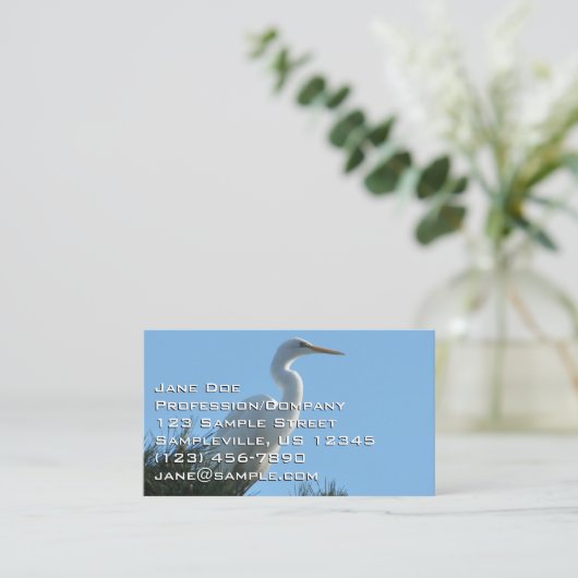 サニー素晴らしフロリダ州の緑 名刺 (スタンド正面)