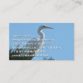 サニー素晴らしフロリダ州の緑 名刺 (正面)