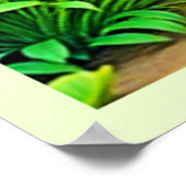 サニー自然パスアート ポスター (角)