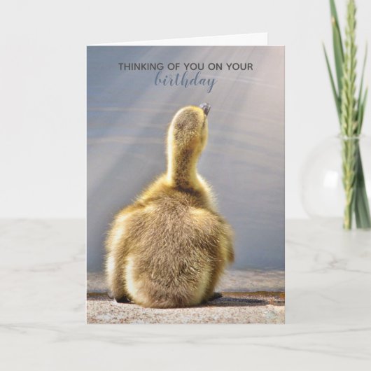 サニー誕生日ウィッシュカード カード (正面)