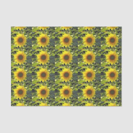 サニー金ゴールドひまわりティッシュペーパー 薄葉紙 (正面)