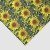 サニー金ゴールドひまわりティッシュペーパー 薄葉紙 (詳細)