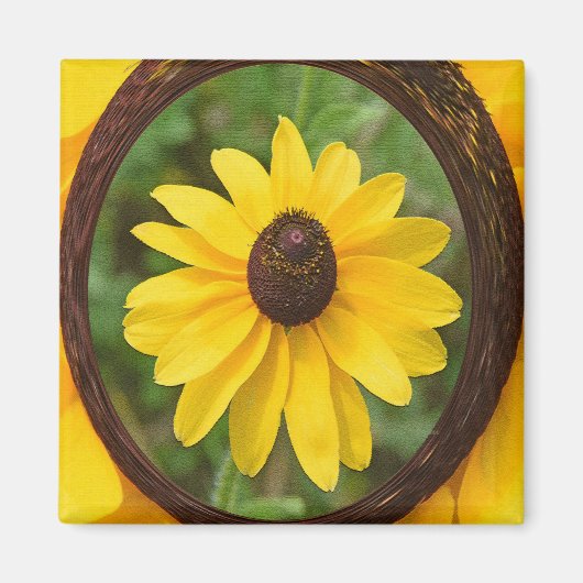 サニー・スーザン… マグネット (正面)