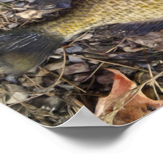 サニー ポスター (角)