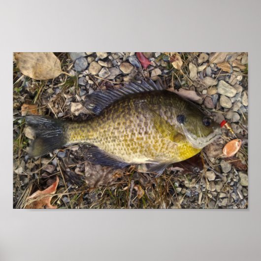 サニー ポスター (正面)