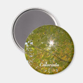 サニー《植物》アスペン マグネット (正面/裏面)