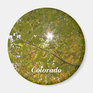 サニー《植物》アスペン マグネット