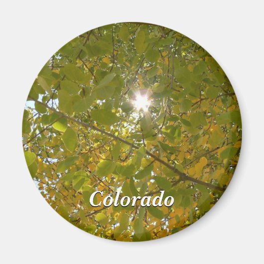 サニー《植物》アスペン マグネット (正面)