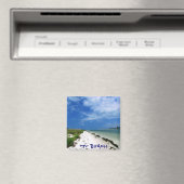 サニ最高のービーチ磁石 マグネット (インサイチュ (食洗機))