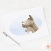 サネンヤギ 楕円形シール (封筒)