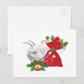 サネン種のヤギがホリデー気分を満喫 シーズンポストカード (正面/裏面)