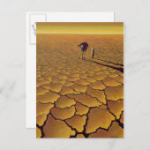 サハラの旅1995 ポストカード (正面/裏面)