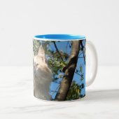 サハラキャットラップのまわりにマグカップ ツートーンマグカップ (正面右)