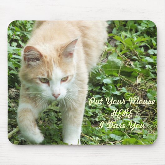 サハラジャングルキャットマウスパッド マウスパッド (正面)