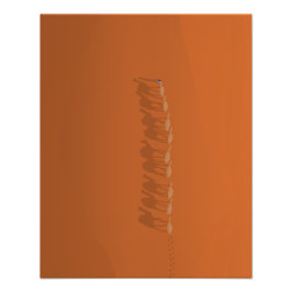 サハラデザートモロッコ |航空イラストレーション フォトプリント           