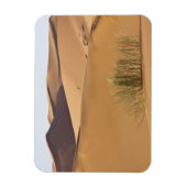 サハラ砂漠，モロッコ マグネット (縦)