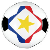 サバの旗 サッカーボール (回転)