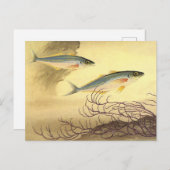 サバの魚が泳ぐ海 ポストカード (正面/裏面)