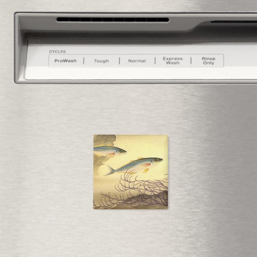 サバの魚が泳ぐ海 マグネット (インサイチュ (食洗機))