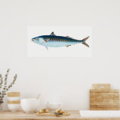 サバの魚のヴィンテージアート ポスター (キッチン)