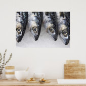 サバの魚、新鮮な一日のキャッチ ポスター (キッチン)