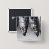 サバの魚、新鮮な一日のキャッチ 缶バッジ (正面&裏面)