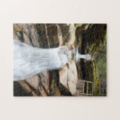 サバデイ滝 ホワイトマウンテンズ 写真 ジグソーパズル (横)