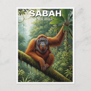 サバマレイシアオランウタン旅行 ポストカード