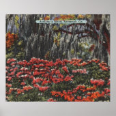 サバンナのつつじの花 Postcards ポスター (正面)