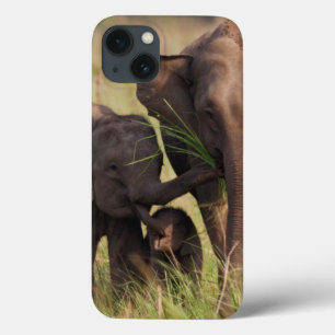 サバンナのインドのアジアゾウ家族 iPhone 13ケース
